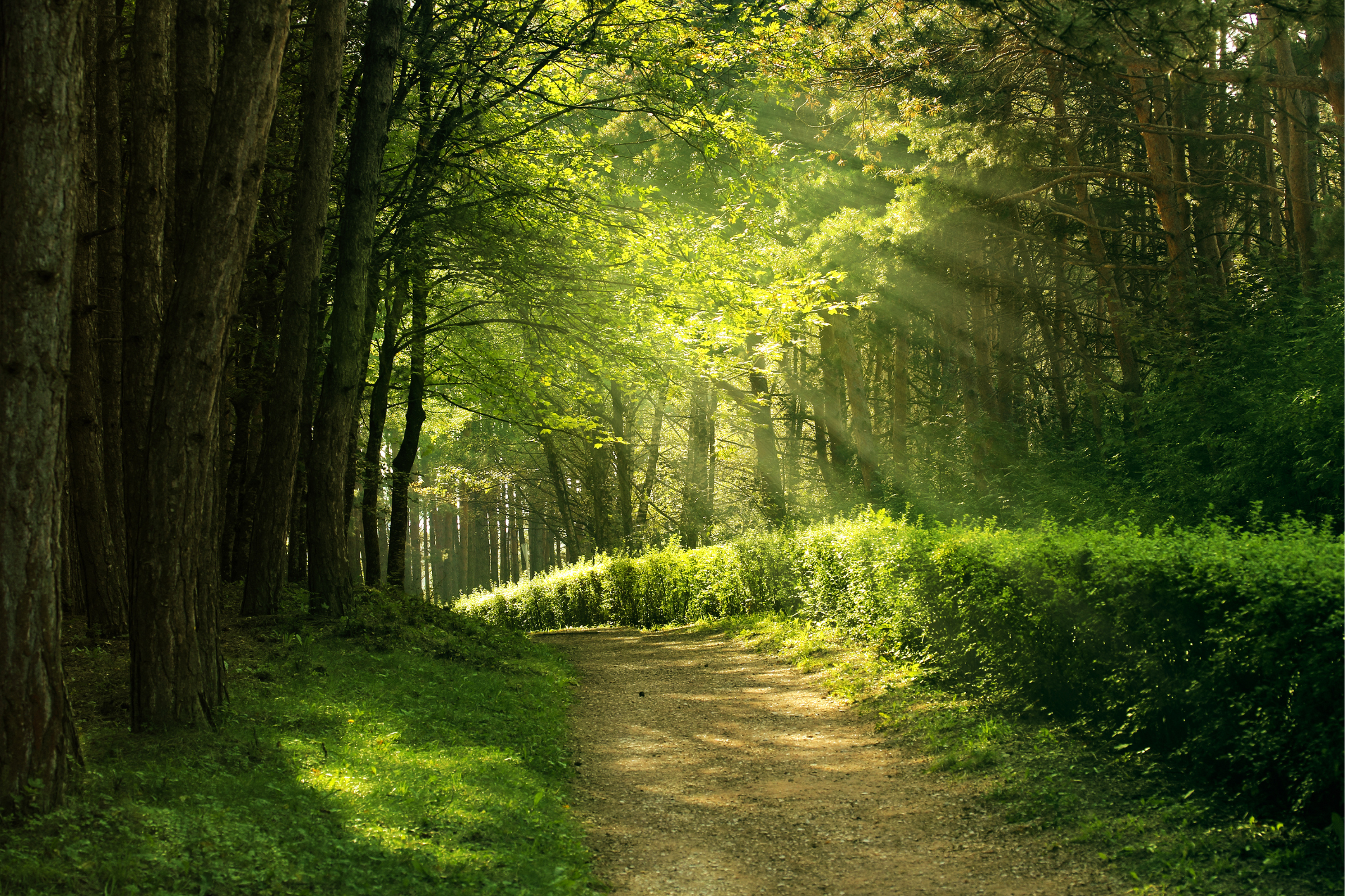 Pursue Lasting Change