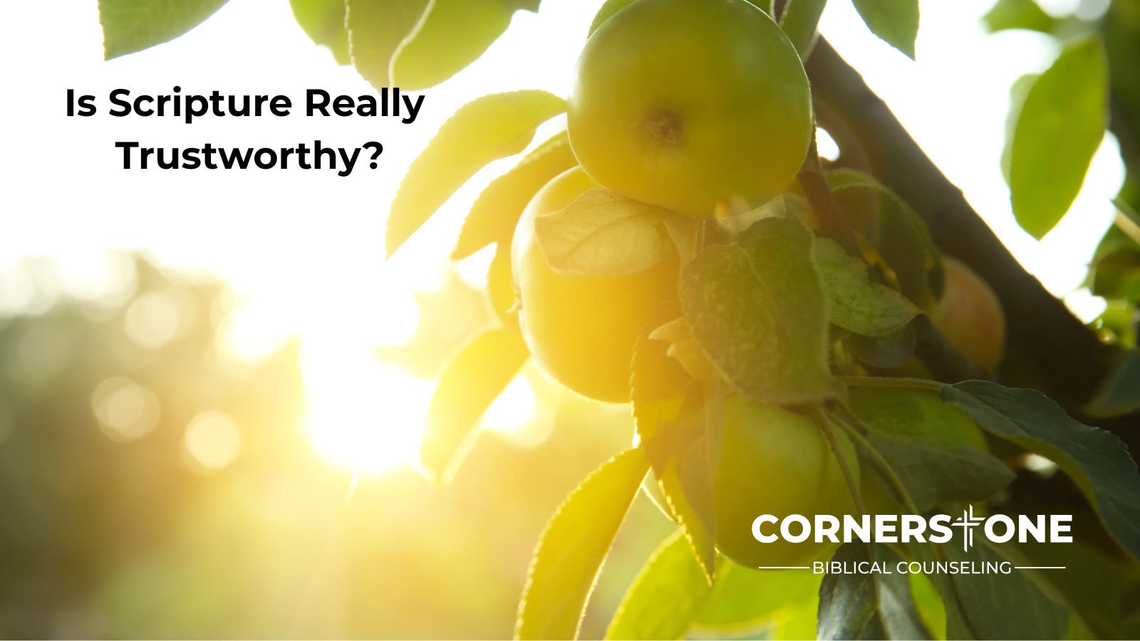 Is Scripture Really Trustworthy?
